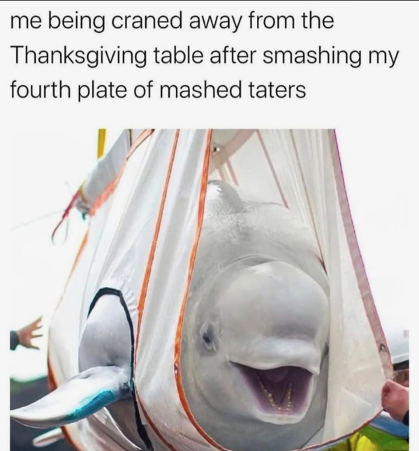 54695