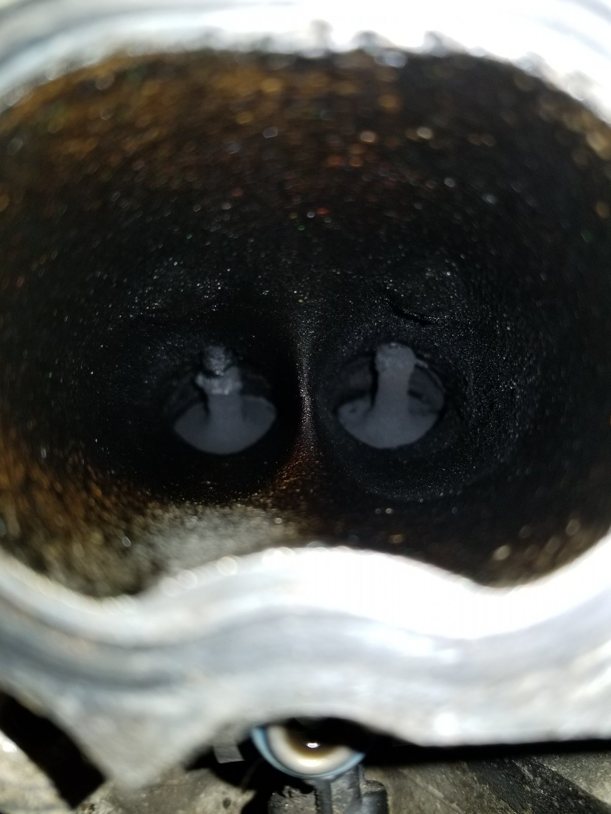 20171009_203910.jpg