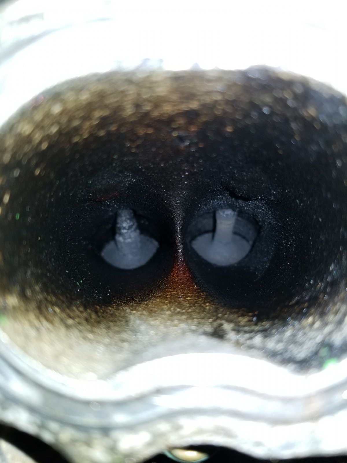 20171009_203938.jpg
