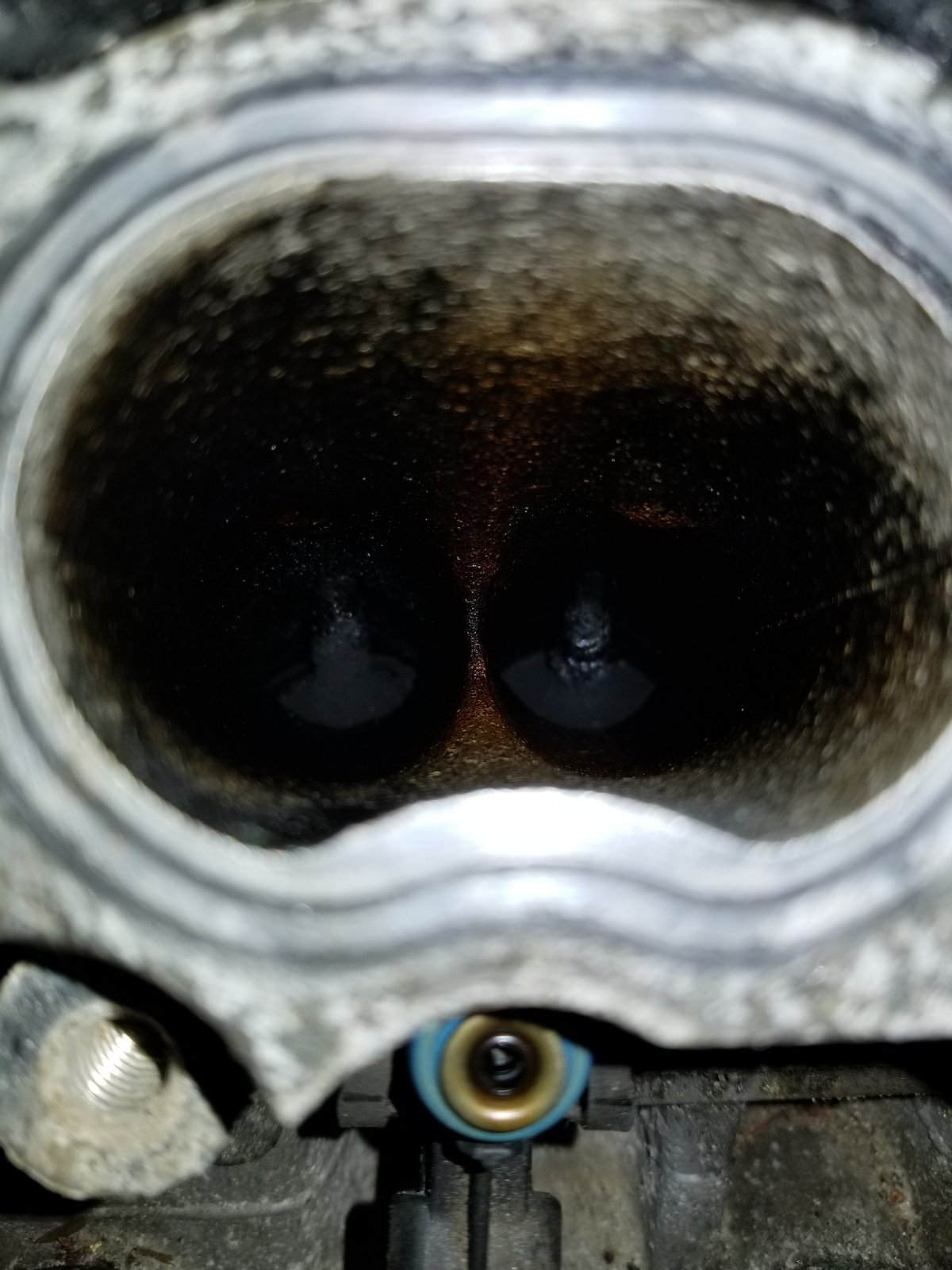 20171009_203945.jpg