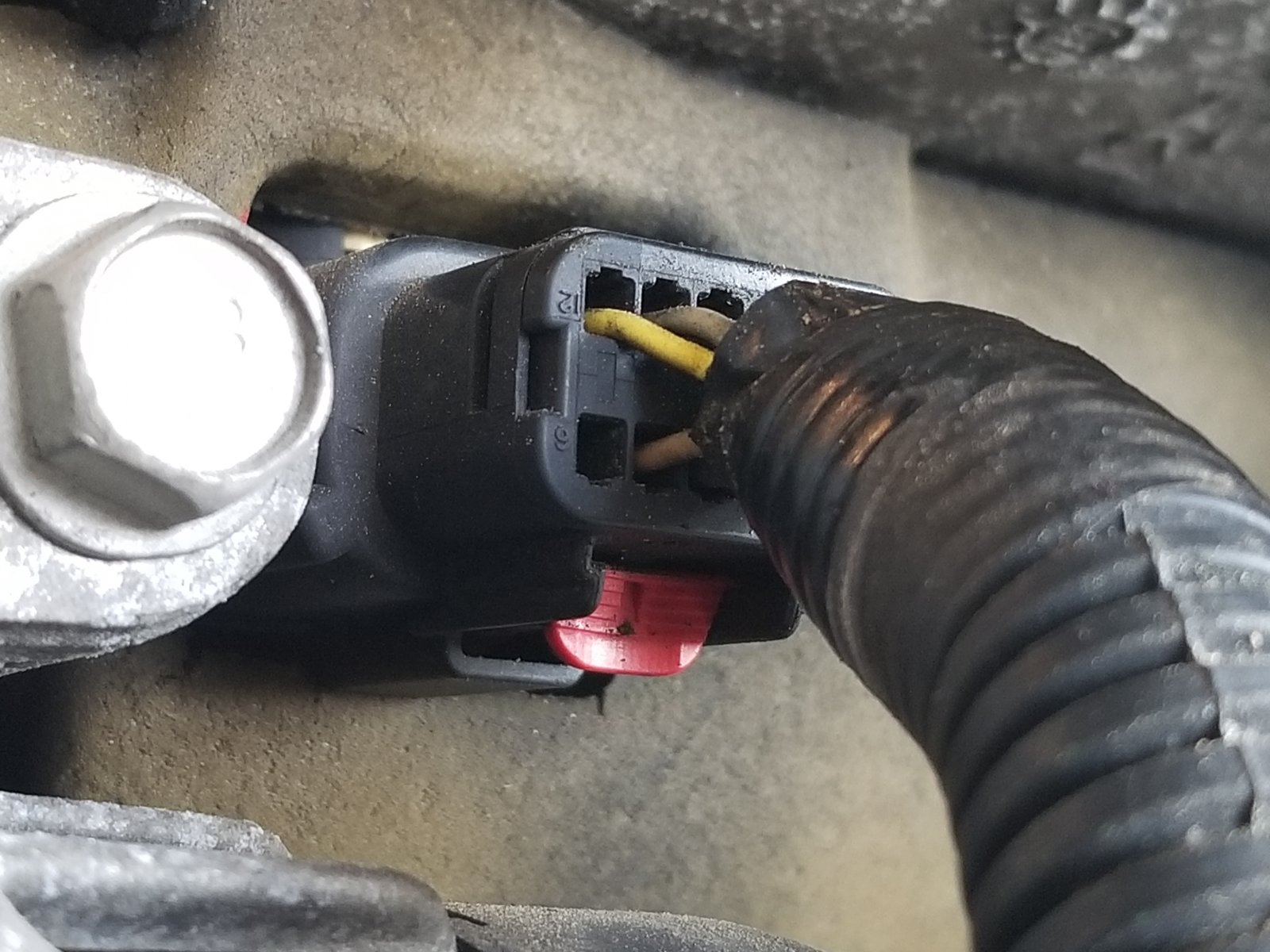 20190928_132926.jpg
