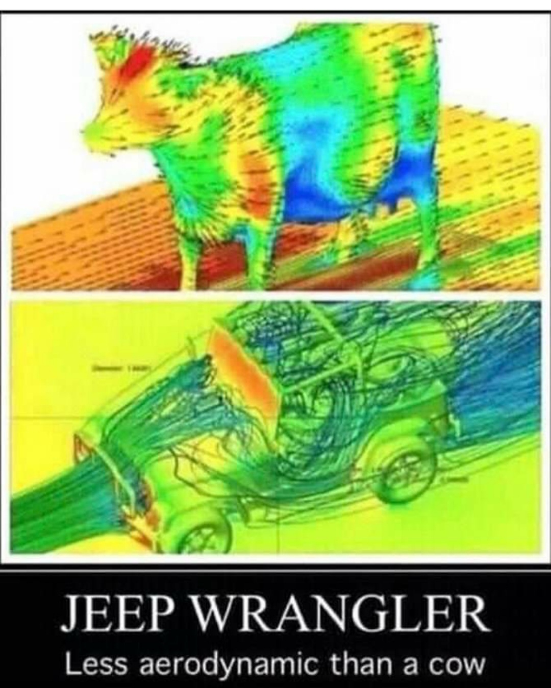 20230429_191002.jpg