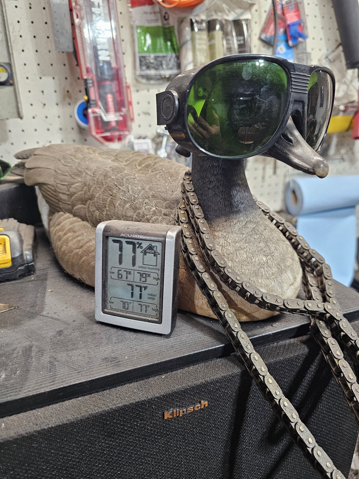 20240704_221554.jpg
