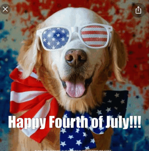 620762386290565491.gif
