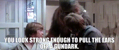 b5e3a971-58c2-464c-a2b3-8a05d2df2d22_text.gif