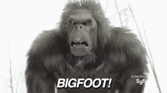 BvRV.gif