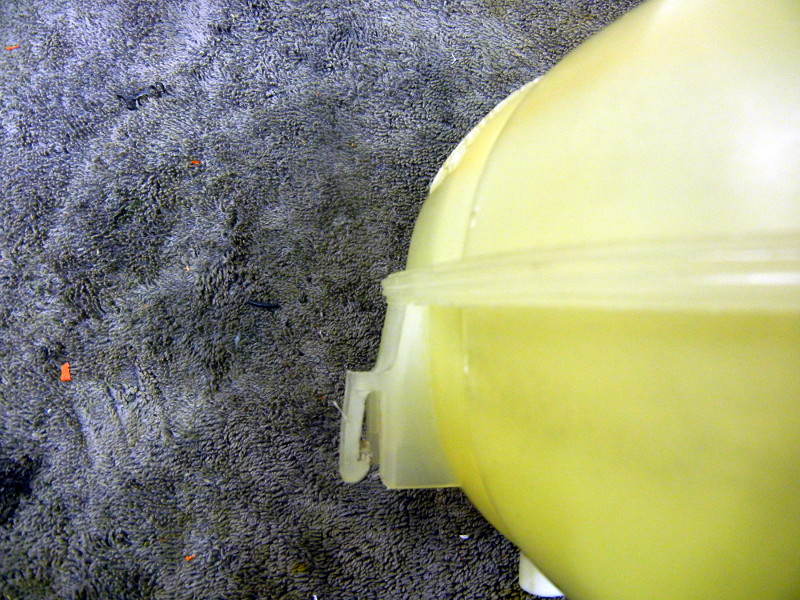 DSCN1086.JPG