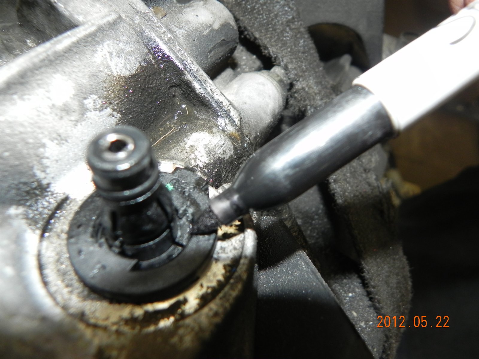 DSCN6319.jpg