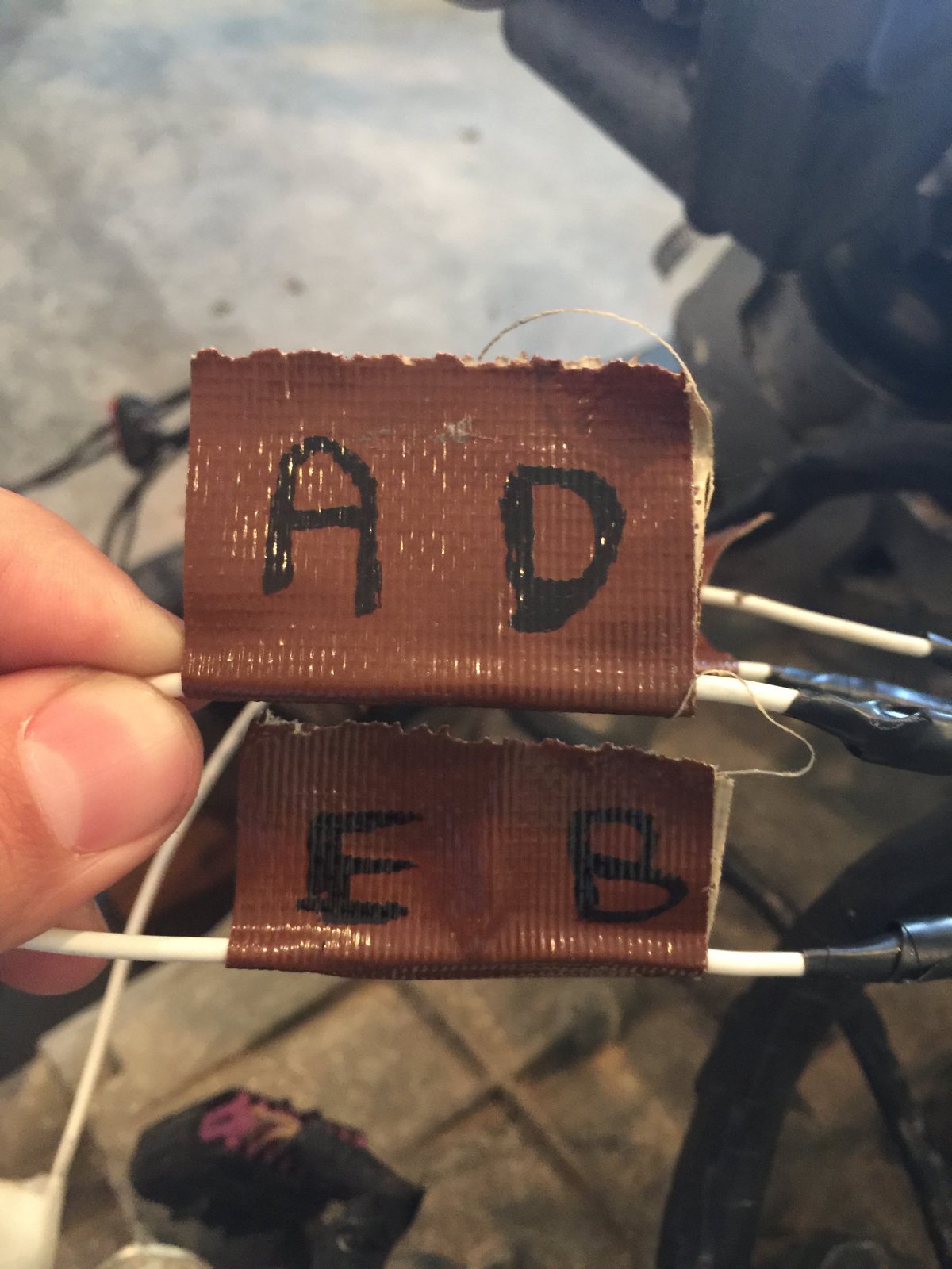 image.jpeg