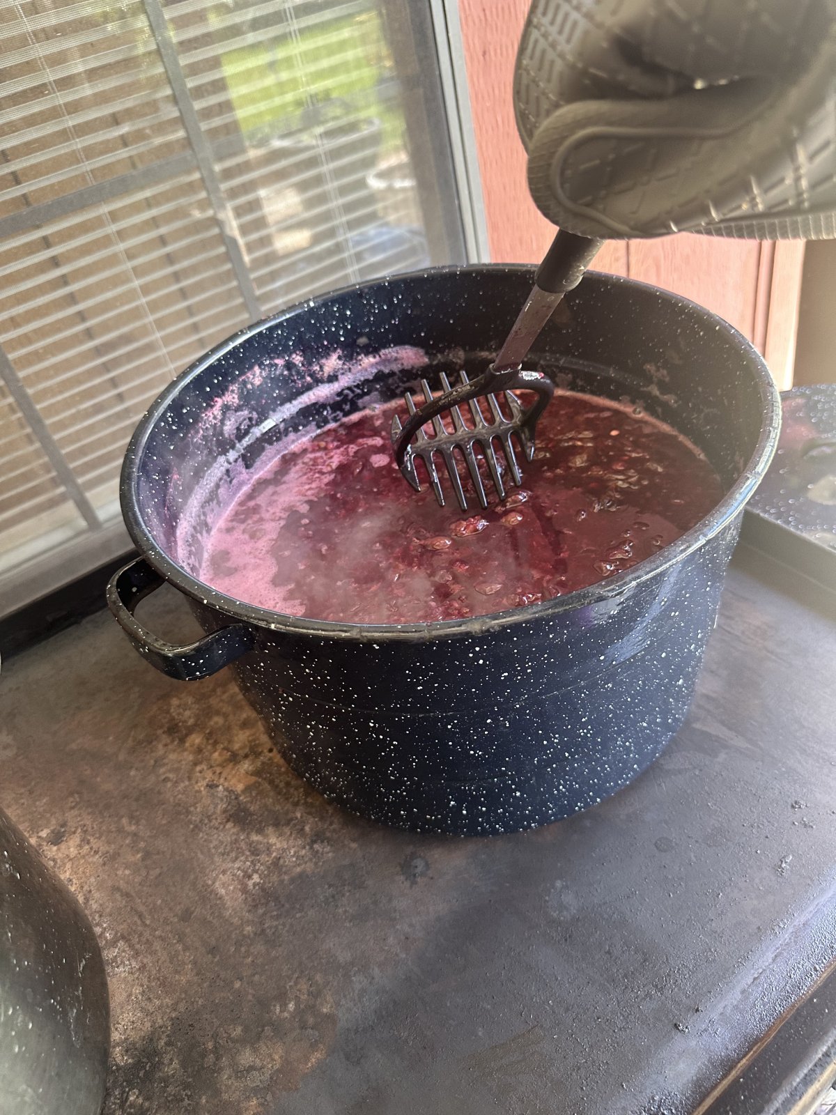 IMG_8579.jpeg
