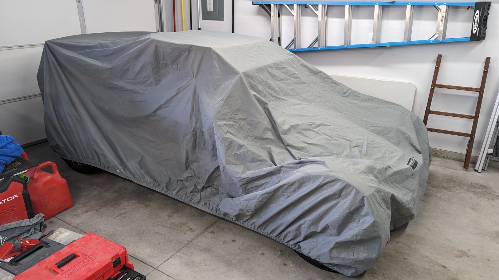 41544