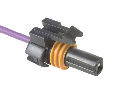 43461