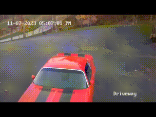 VID_20231108_152435.gif