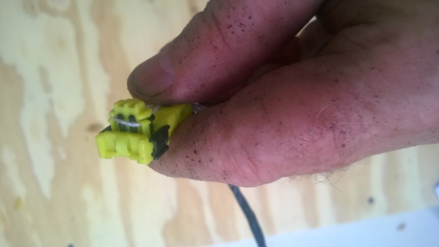WP_20160804_019.jpg