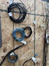 IMG_5988.jpeg