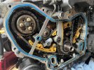 IMG_8168.jpeg
