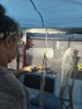 Messenger_creation_837DC4FF-680C-4EDB-932E-3B4A235EB661.jpeg